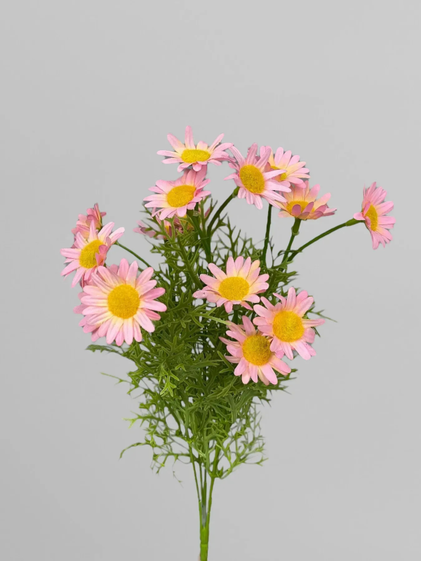 Квітка Ромашка,(букет) малий, шт.